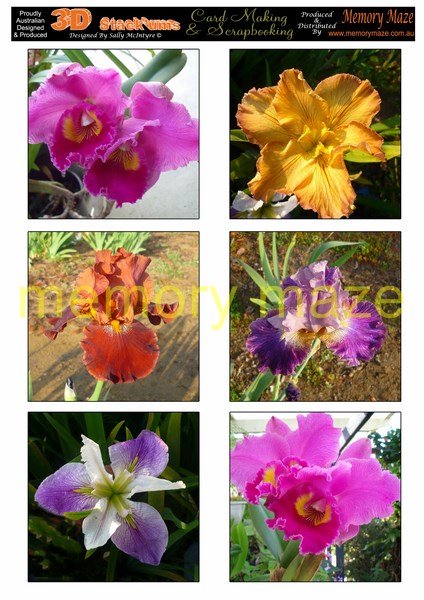 DS0701 assorted iris and orchids  MIN BUY 5  toppers cut out wit